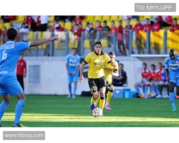 科特赖克与欧本比赛分析及推荐策略详解