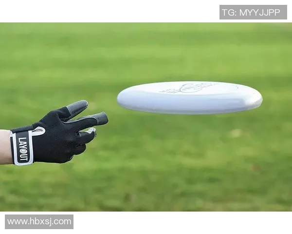 刘军专访：从初学者到飞盘高手的成长与心路历程回顾