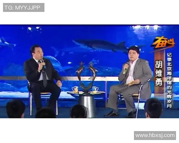 杨强谈CSGO辉煌岁月与未来展望的深度专访