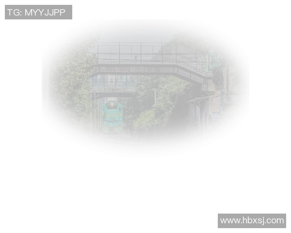 杭州滑板队的奋斗之路：一段激情与坚持交织的纪实故事