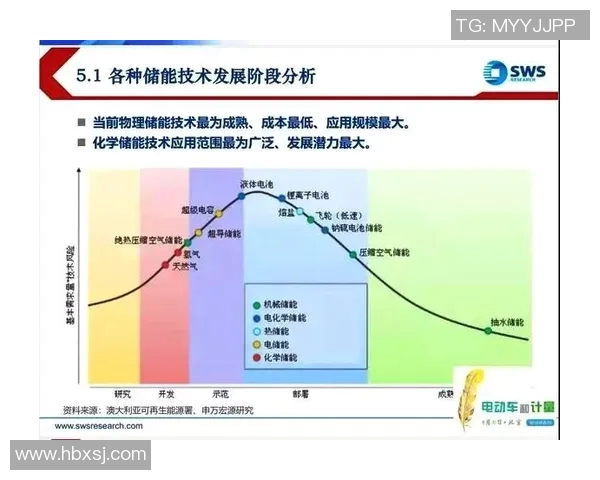 LNG快攻策略的成败分析与未来发展方向探讨